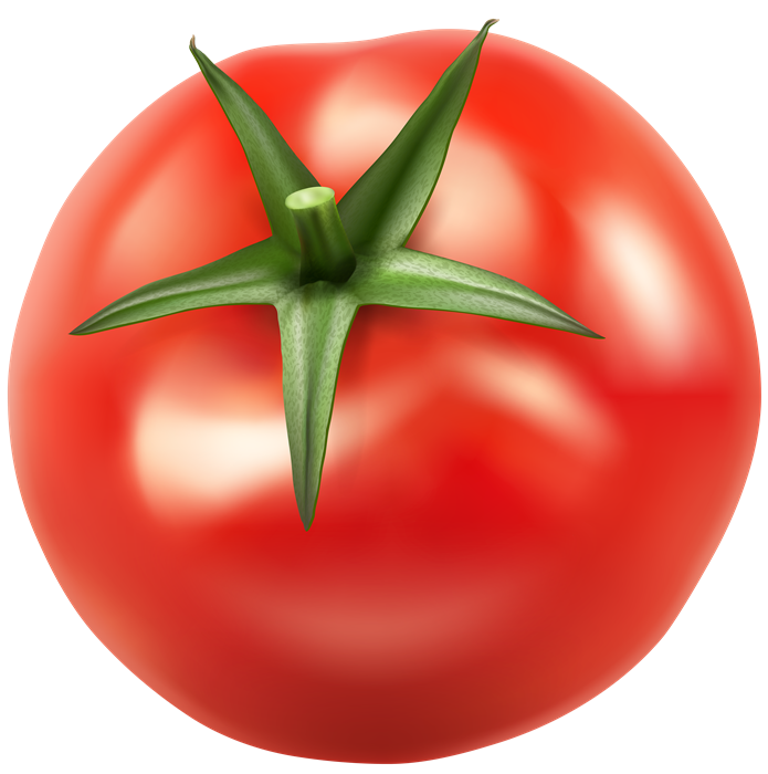 Fresh red tomato cutout